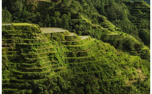 石材砖和瓷砖区别（石材和瓷砖的区别）